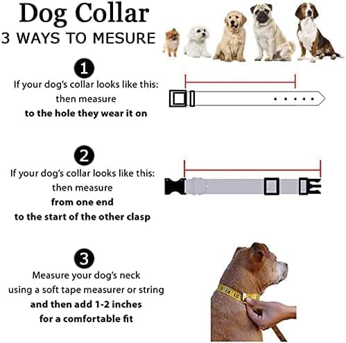 Roses&Poetry Reflective Dog Collar with Gradient Azure, Adjustable Durable Pet Collars for Small Medium Large Dogs (Azure-S)
