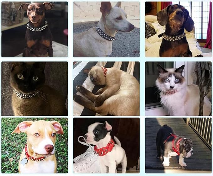 Spiked Dog Collar Soft Pu Leather Mushrooms Rivet Spike Studded Puppy Adjustable Pet Collars for Small Breeds (L, Purple)