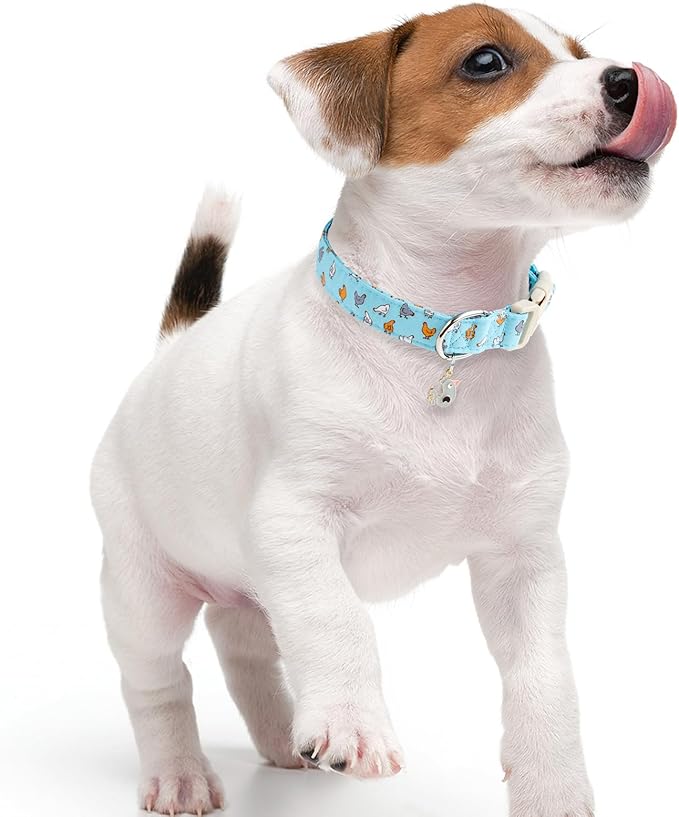 Faygarsle Funny Chicken Pattern Dog Collar, Cotton Fabric, Light Blue with Farm Animal Print for Small Medium Large Dogs M