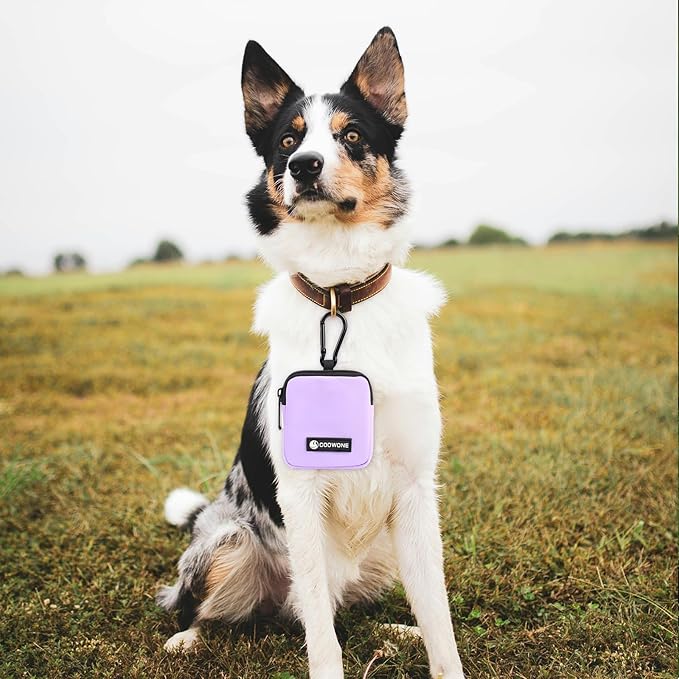 Dog Treat Pouch 2 PCS, Waterproof Small Dog Treat Bag for Leash, Hands Free Puppy Walking Bag with Carabiner, Pet Poop Bag Holder for Pet Puppy Travel or Outdoor Use, Zipper Closure to Avoid Spilling