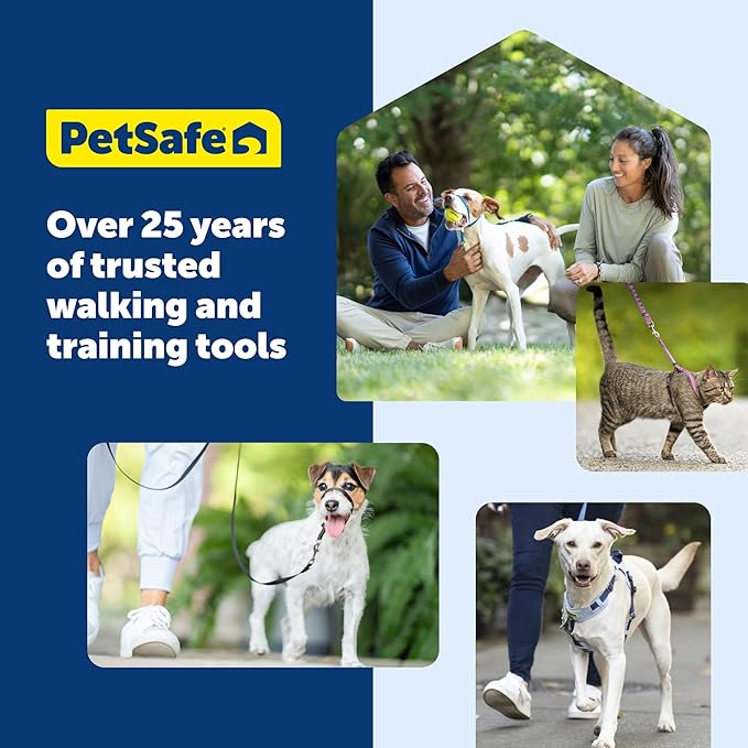 PetSafe Gentle Leader Headcollar No-Pull Dog Collar - Helps Improve Walks - Durable Nylon Construction - Padded Nose Loop - Adjustable Fit - Comfort Walking Halter - Medium, Deep Purple