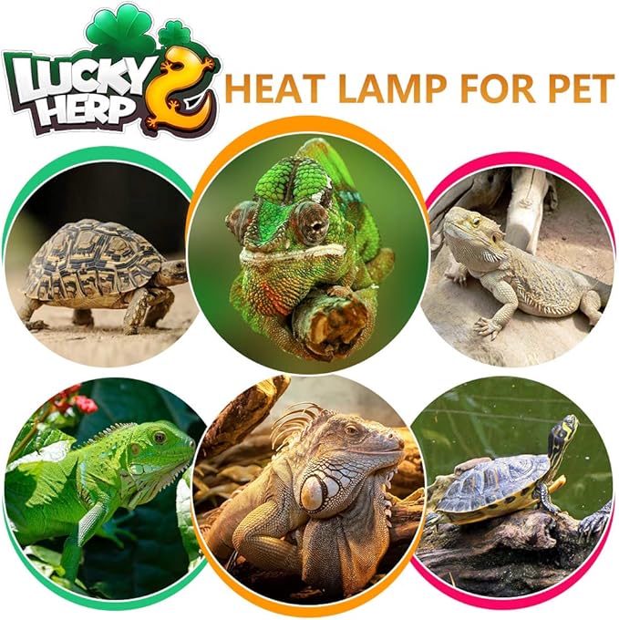 LUCKY HERP 100 Watt UVA+UVB Full Spectrum Vapor Heat Lamp Bulb, High Intensity Self-Ballasted Heat Basking Lamp/Bulb/Light for Reptile and Amphibian, Sun Lamp for Bearded Dragon Lizard Turtle(Clear)