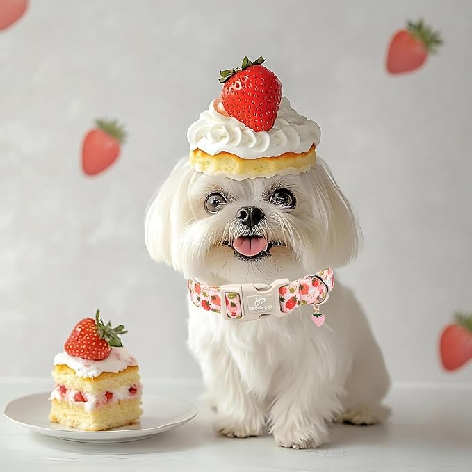 Strawberry Dog Collar for Large Dogs - Cute Spring Pink Dog Collars, Summer Pastel Puppy Collars, Soft Adjustable Boy Girl Dogs Collar with Quick-Release Buckle XL