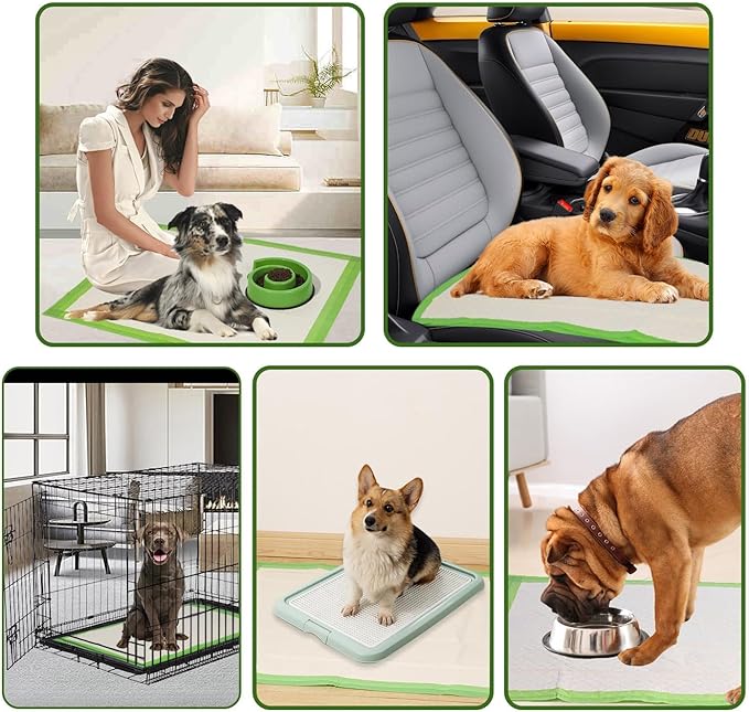 Gardner Pet Dog Pee Pads Rugular 22"x22", Thicker ECO Green Small Disposable Puppy Training Pads Super Absorbent Full Edge-Wrapping Pad for Dogs, Puppies, Doggies, Cats-(20 Count)