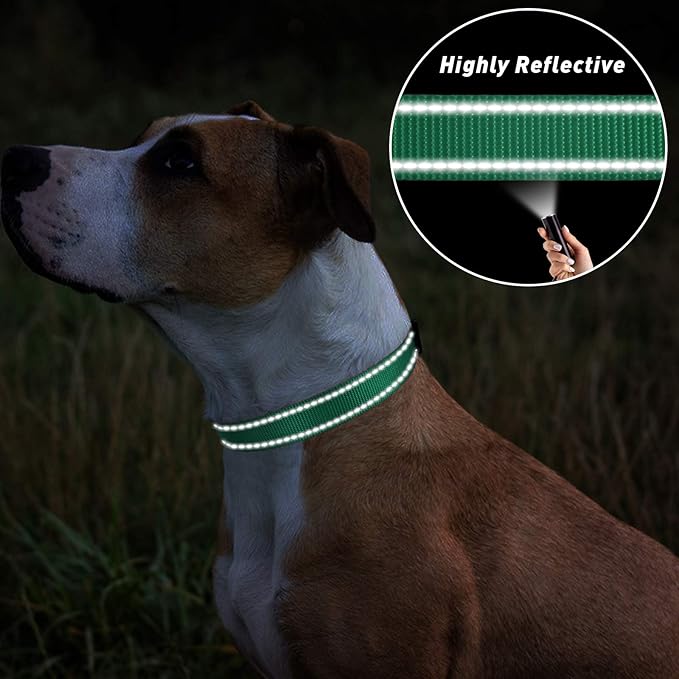 TagME Reflective Nylon Dog Collars, Adjustable Classic Pet Collar with Quick Release Buckle for Medium Dogs, Turquoise, 1.0" Width