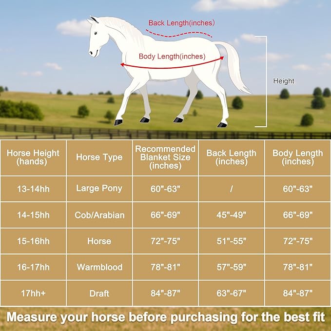 Horse Fleece Cooler, Blanket Liner - 300g Anti-Pilling Fleece, Moisture-Wicking, Cooling & Drying for Post-Workout, Bath & Travel, Prevent Overheating & Chilling Lightblue 69