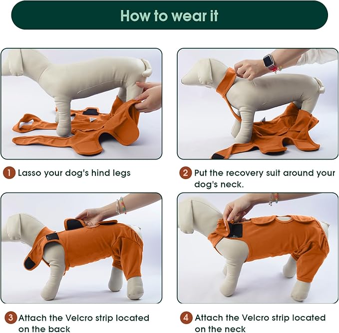 Kuoser Recovery Suit for Back Legs, Thigh Wound Protective Sleeve, Recovery Sleeve for Female Male Dogs, Onesie After Surgery, Pet Surgical Suit for Spay Neuter, Brown XXL
