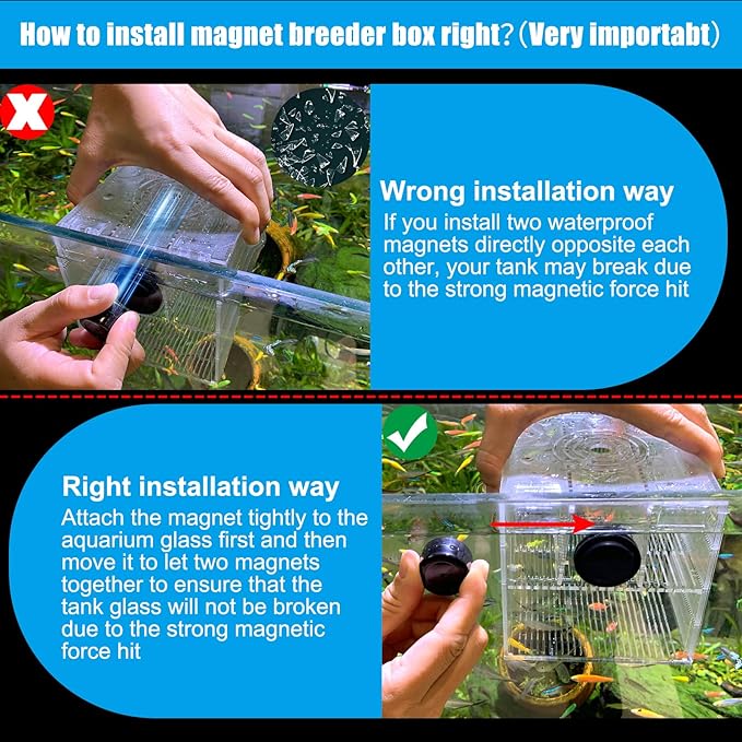 Magnetic Breeder Box for Tank Isolation Box Acclimation Hatchery Fish breeding Incubator with 3 Divider for Guppy Baby Betta Saltwater Anemones or Injured Fish(Sealed Bottom Version)