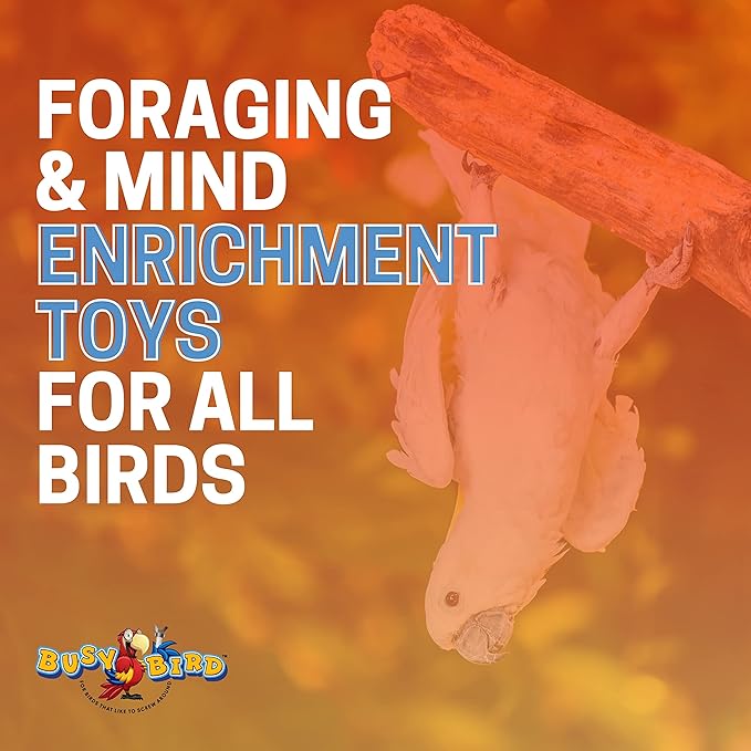 Stainless Steel Spinner Bird Toy with Traveling Spinner | Durable Puzzle Enrichment Toy | Spinner Toy for Medium to Large Birds Like Cockatoos, Parrots, Macaws, Parakeets | Bird Cage Accessories