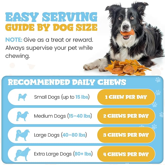 Dehydrated Natural Pumpkin Slices for Dogs- Crunchy Treats- 1lb Stay Fresh Resealable Bag, All-Natural- High Protein, Great For Sensitive Stomachs, Low Fat, A Healthy Rawhide Alternative for All Dogs