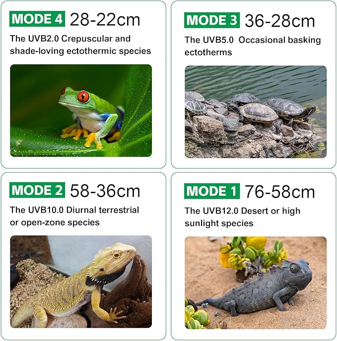 UVB Light for Reptiles with Dimming UVA UVB Reptile Light Fixture with Timer LED UVB Bulb for Bearded Dragon Gecko Turtle Chameleon Lizard Snake Adjustable Brightness Reptile Tank Accessories 8W Grey