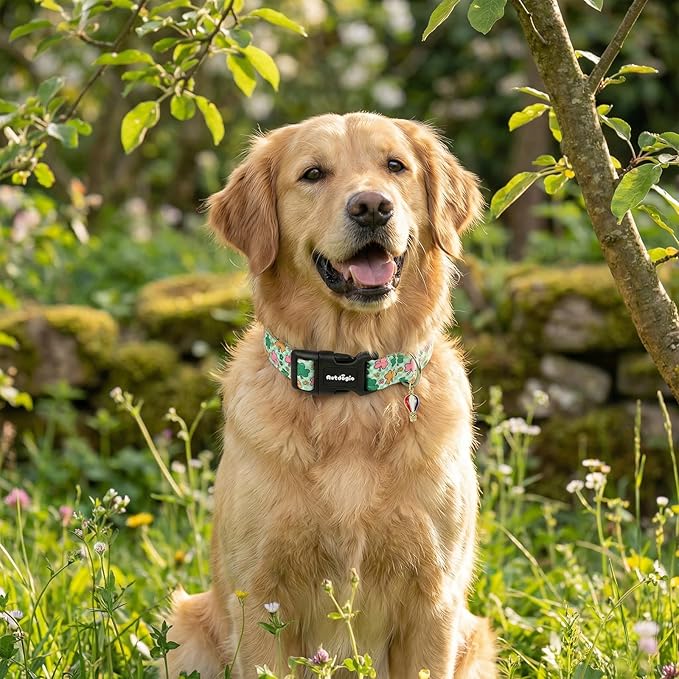St. Patrick's Day Dog Collar,Puppy Collar with Lucky Shamrock Chequered Pattern,Adjustable Spring Cotton Collars Gifts for Small Medium Large Dogs,Dog Accessories S