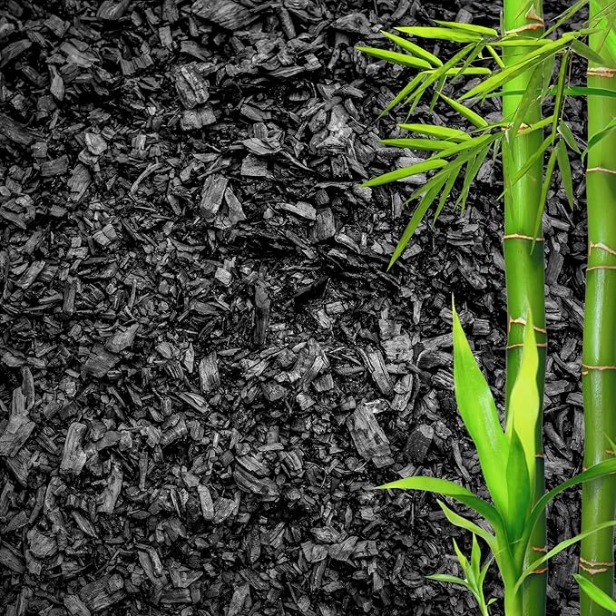 Horticultural Charcoal for Plants β Organic Bio Char Soil Amendment for Terrariums, Indoor Plants & Gardening, Made in USA (5 quarts)