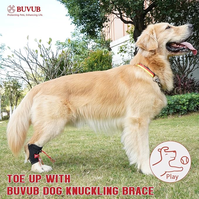 Dog Canine Knuckling Brace Front Paw Rear Leg Dog Foot Brace Wrap for Toe Dragging Cause by Sciatic Nerve Insufficiency, Myelopathy, Herniated Disc (Medium,Pair Pack)