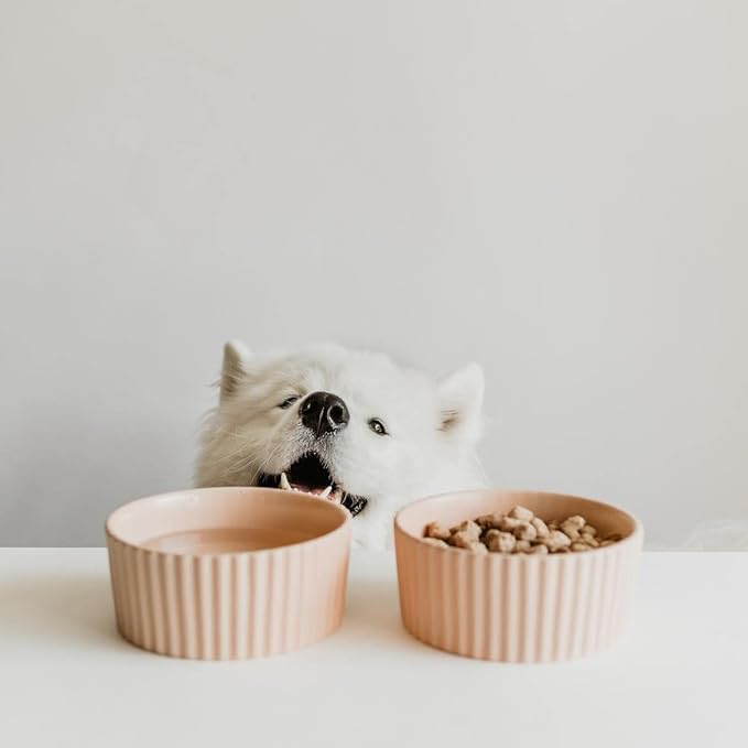 Waggo Ripple Ceramic Dog Bowl for Medium and Large Breeds - Modern with Matte Finish, Heavyweight Durable Pet Food and Water Dish Crock, Dishwasher Safe(Medium, Rose)