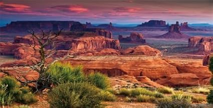 30X12IN Desert Loess Rock Cactus Oasis Reptile Habitat Background, Natural Sunset Desert Themed Terrarium Background, Aquarium Background with 10 EVA Double-Sided Tape