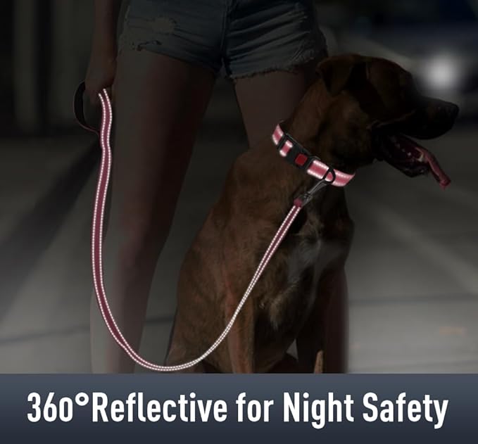 Airtag Dog Collar with AirTag Holder for Puppy Small Dogs, Reflective, Soft Padded & Safety Locking Buckle, Nylon Pet Collars Adjustable for All Breeds, Pink,XS