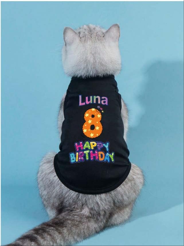 Custom Dog Birthday Shirt,Personalized Pet Apparel Print with Name Age Number,Pet Birthday Outfit,Lightweight Breathable Cotton Vest for Small Medium Large Dogs Cat (Grey, Large)