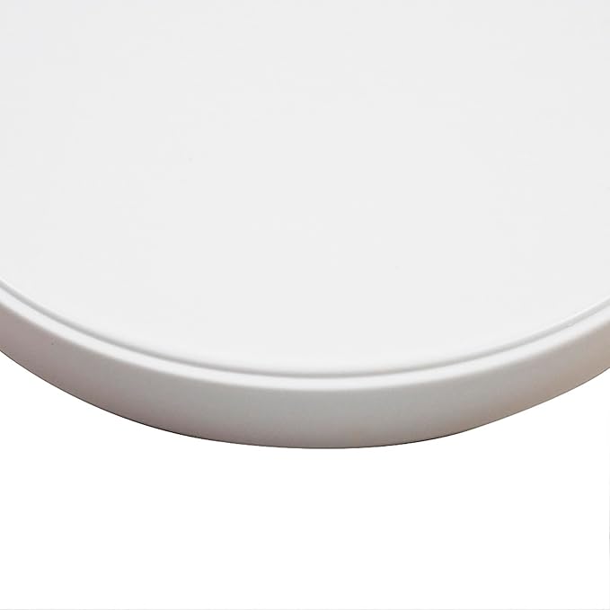 Reptile Food Bowl OMEM Water Dish,Feeding Dish, Birds Bowl (S, White)