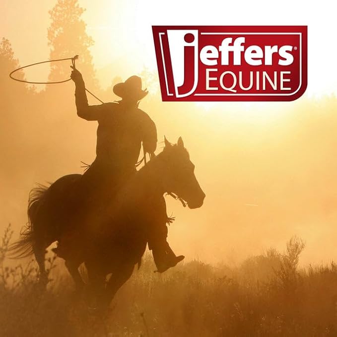 Jeffers Equine Simply Natural Horse Shampoo – pH Balanced, Sulfate Free Wash for Horses, Ponies & Foals – Detergent Free – Fresh Grooming Supply for Summer, Outdoor, Indoor Use – 1 Gallon
