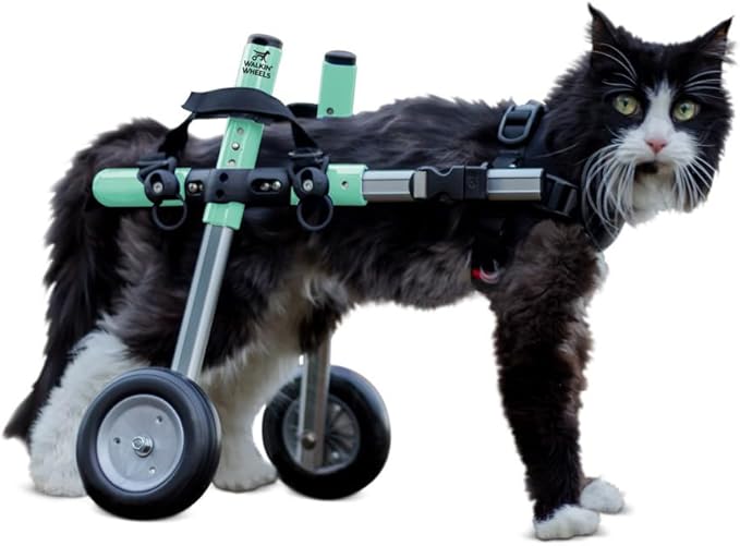 Walkin' Wheels Lightweight – for Small Cats 2 to 20 Pounds – Veterinarian Approved – Cat Wheelchair for Back Legs, for Cats 11-20 lbs, 7-8 inches Leg Height – Seafoam
