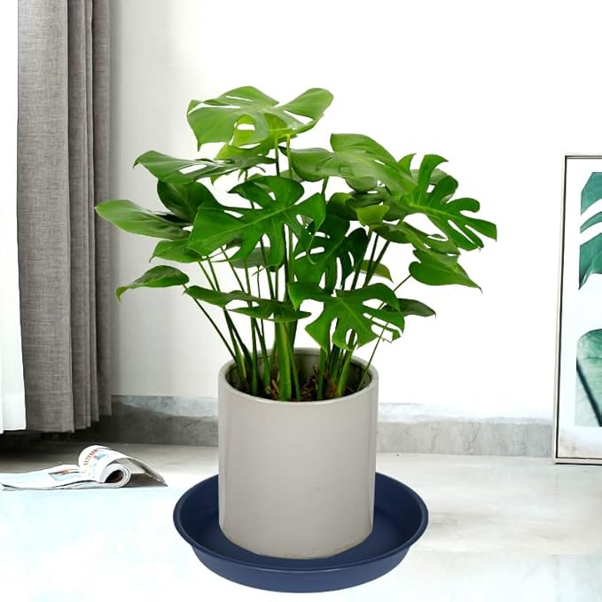 2 Pack of 18 19 inch Plant Saucer Drip Tray (16.6 inch Base), Heavy Duty Deep Plant Saucers for Pots, Plastic Flower Planter Water Trays for Indoors Outdoor (19", Blue)