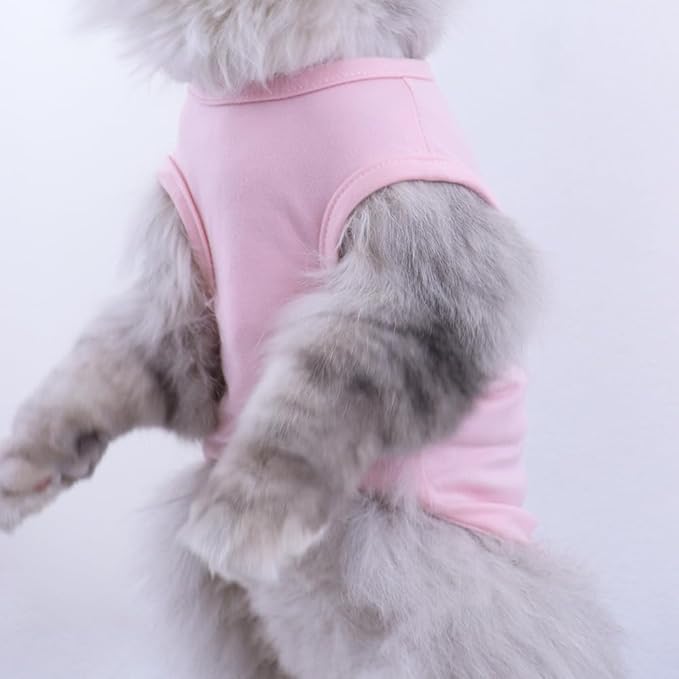 Custom Dog Birthday Shirt,Personalized Pet Apparel Print with Name Age Number,Pet Birthday Outfit,Lightweight Breathable Cotton Vest for Small Medium Large Dogs Cat (Grey, X-Large)