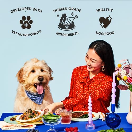 The Pets Table Human-Grade Beef Stew Fresh Dog Food, Dog Food Topper or Complete Meal, 6 Count of 32-oz Pouches, 11.8lbs