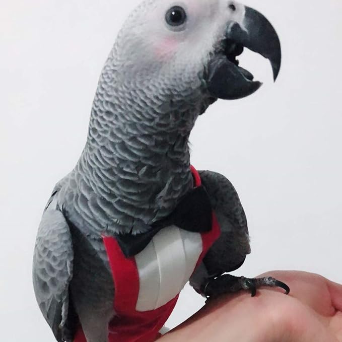 QBLEEV 2 Pack Bird Diapers, Cockatiel Tuxedo Flight Suite, Reusable Parrot Nappy Clothes Costume for Wedding Party Birthday Cosplay Photo, Pigeon Pants Urine Wet Suit for Conure Macaw Budgies Parakeet