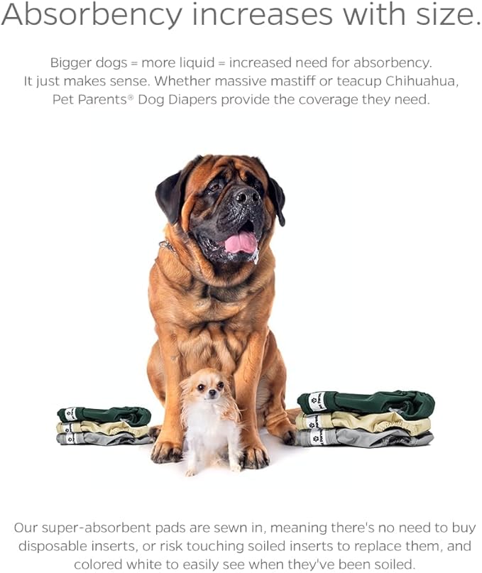 Pet Parents® Washable Dog Diapers (3pack) + Extendrs® of Durable Doggie Diapers, Premium Dog Diapers Female (X-Small, Spruce)