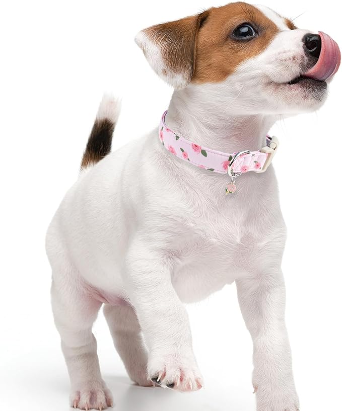 Faygarsle Pink Floral Dog Collar with Roses Pattern, Spring Summer Design for Small Medium Large Dogs M