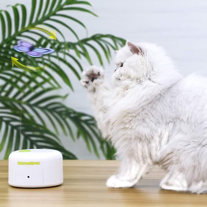 ALL FOR PAWS Motion Activate Cat Toys Interactive Flutter Butterfly Kitten Enrichment Toy with One Replacement for Indoor Cats