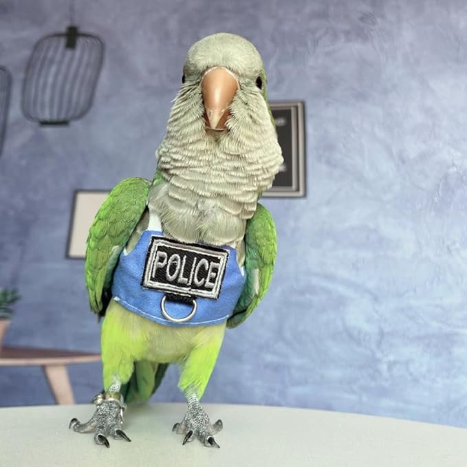 Bird Flight Harness Vest, Parrot Flight Suit with Leash, Bird Flying Clothes with Rope and Handle for Outdoor Activities (with Leash,Common Hill Myna)