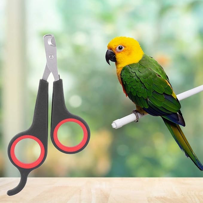 Solid Stainless Steel Bird Nail Clipper, Bird Cage Essential Accessories, Bird Grooming Tool Accessory for Pet Store & Parrot