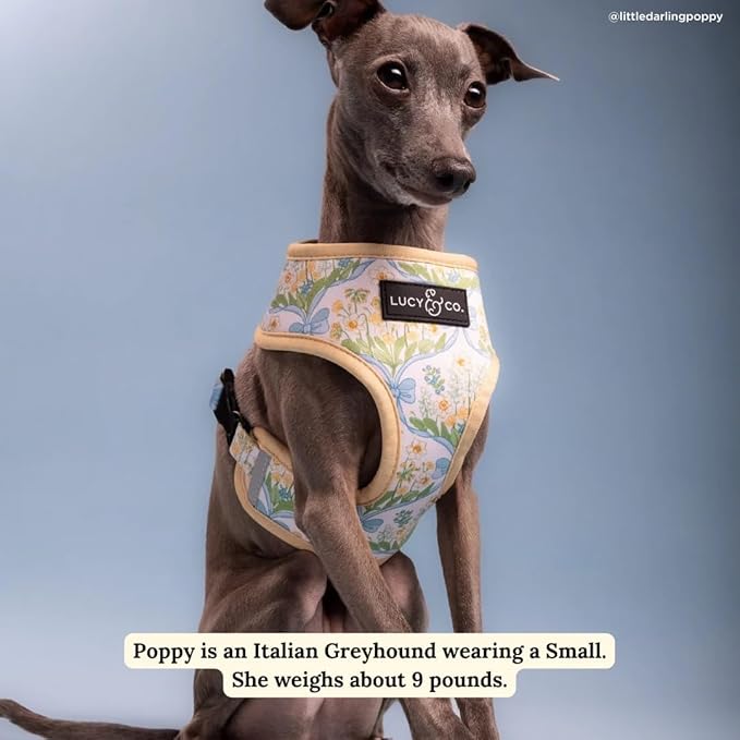 Lucy & Co. Sunshine and Daffodils Reversible Dog Harness, Adjustable Comfort Fit with Dual Leash Attachments, Small
