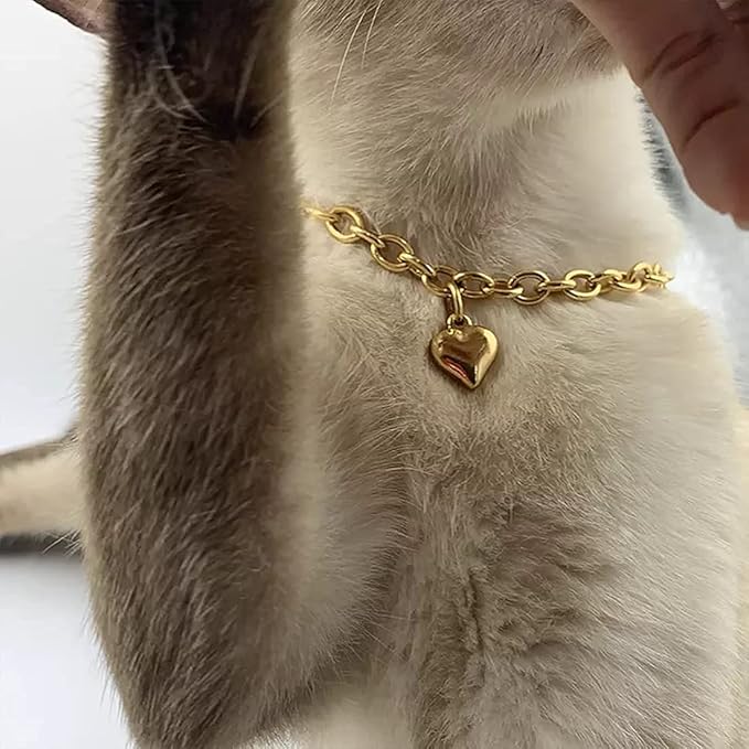 HOWWFALY Dog Collar and Cat Chain Necklace Stainless Steel Adjustable 18K Gold Heart-Shaped Necklace for Small Pets Cats Kitten Puppy (Gold, 12 inch)