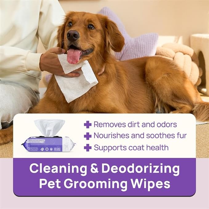 HICC PET Wipes for Dogs and Cats, Vet-Recommended Pets Cleaning Wipes, Deodorizing Hydrating, Nourishes Smoothes Fur, Fermented Coconut Oil Grooming Paws, Body and Butt, Thicken, Unscented, 100 Count