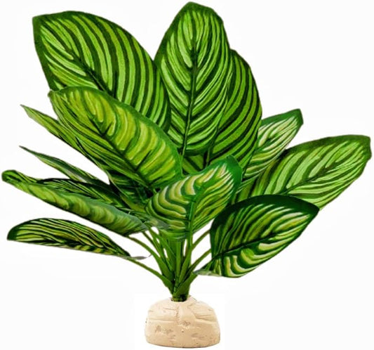 Reptile Terrarium Decor,Amphibian Habitat Decor,Artificial Plants for Crested Gecko Tank Accessories Suitable for Leopard Gecko Bearded Dragon Lizard Chameleon Snake Tortoise (Calathea makoyana-D)