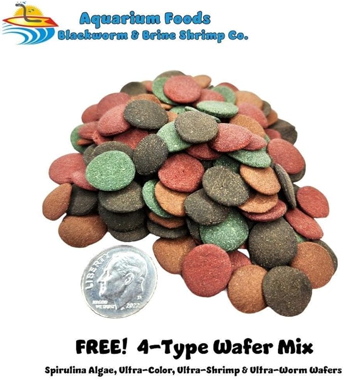Aquatic Foods Inc. Red River Shrimp - Freeze-Dried 1/2" to 1&1/4" Red River Shrimp for Cichlids, Koi & Pond Fish, Aquatic Turtles, All Community Tropical Fish, Reptiles, Rodents…2.5oz Med Round Jar