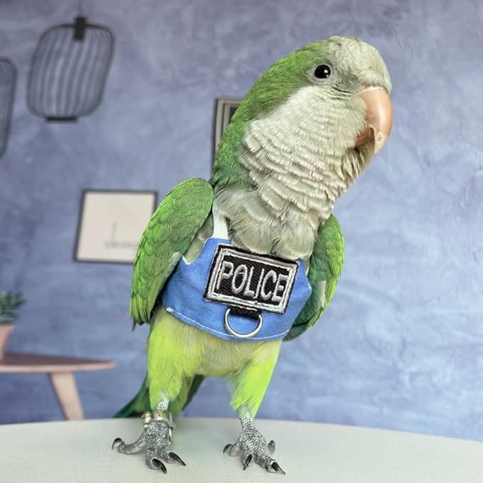 Bird Flight Harness Vest, Parrot Flight Suit with Leash, Bird Flying Clothes with Rope and Handle for Outdoor Activities (with Leash,Lorikeet)