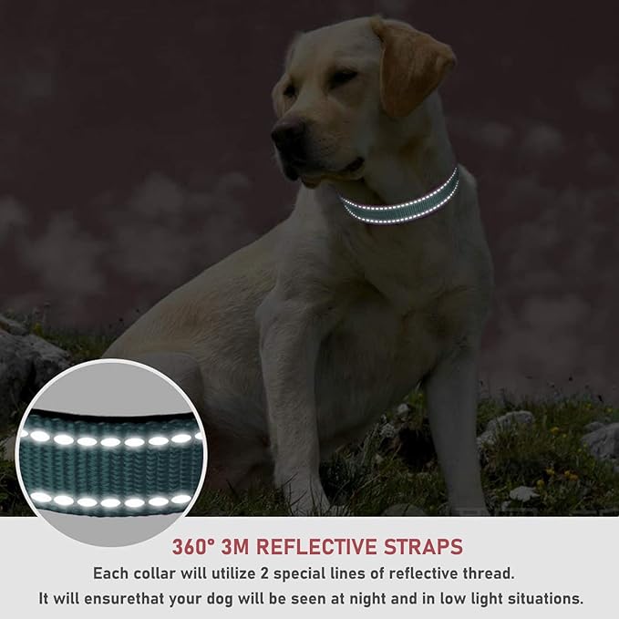 Reflective Dog Collar with Buckle Adjustable Safety Nylon Collars for Small Medium Large Dogs, Grey XL