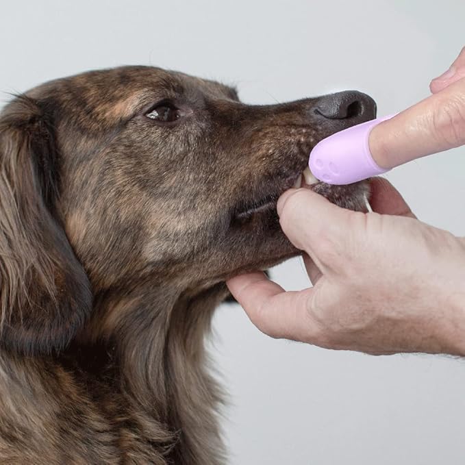 SIMENA Silicone Finger Brush for Dogs Teeth, Finger Tooth Brush for Cats, Puppy Toothbrush for Pet Dental Care, Finger Brush Suitable for Small Breeds, Puppies and Cats (Pack of 3)