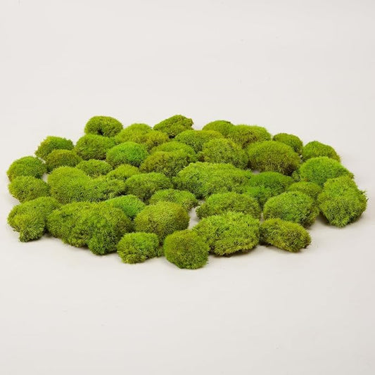 Preserved Pole Moss Pillow Bun Cushion Natural Green Decorative Real Natural Green DIY Kit Gardenning Art Wall Decor Florist Decor Easter Table Decor Wedding(1.5 sq.ft, Green-E)