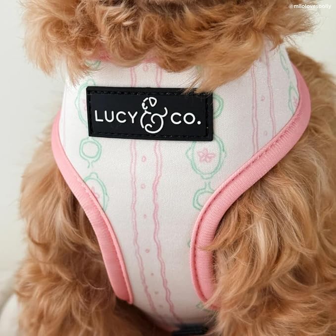 Lucy & Co. Sipping Slowly Reversible Dog Harness, Adjustable Comfort Fit with Dual Leash Attachments, Medium