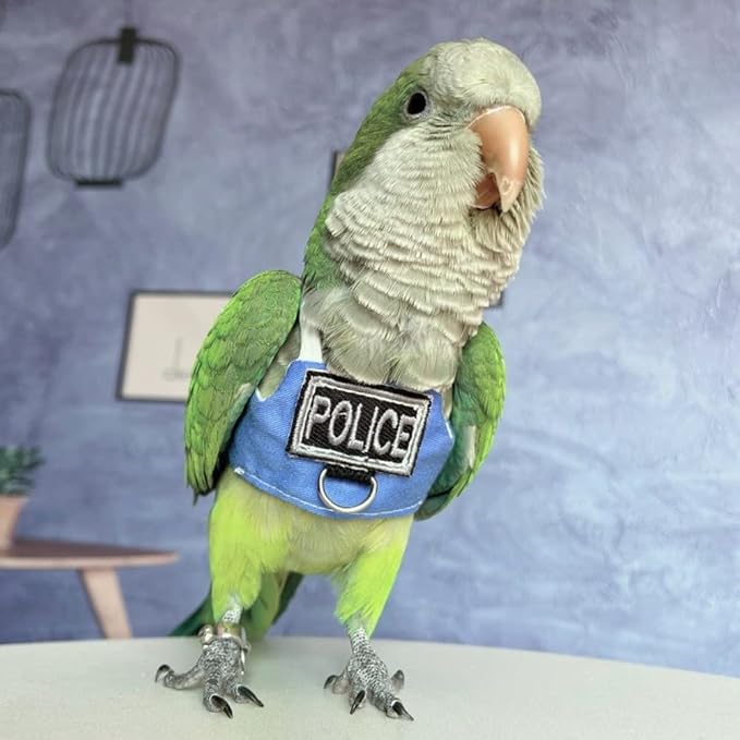Bird Flight Harness Vest, Parrot Flight Suit with Leash, Bird Flying Clothes with Rope and Handle for Outdoor Activities (with Leash,Budgie)
