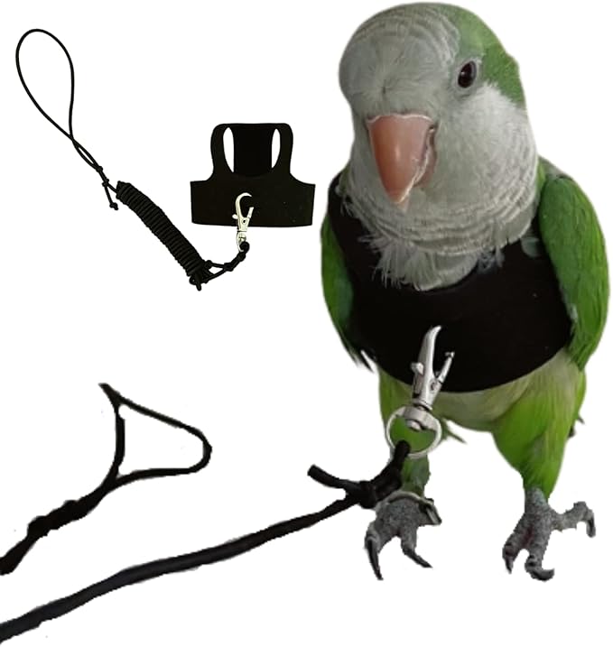 Bird Flight Harness Vest, Parrot Flight Suit with Leash for Parakeets Cockatiels Conures Budgies, Bird Flying Clothes with Rope and Handle for Outdoor Activities Training, Anti Bite (X-Large)