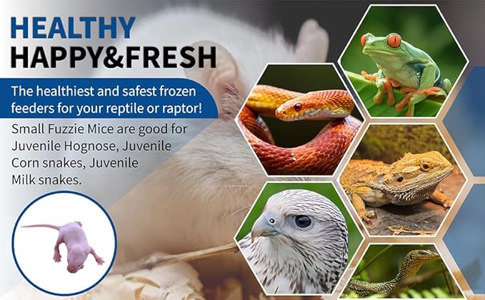 MiceDirect Frozen Small Fuzzie Feeder Mice Food for Juvenile Hognose, Corn & Milk Snakes 40 Ounces (100 Count)