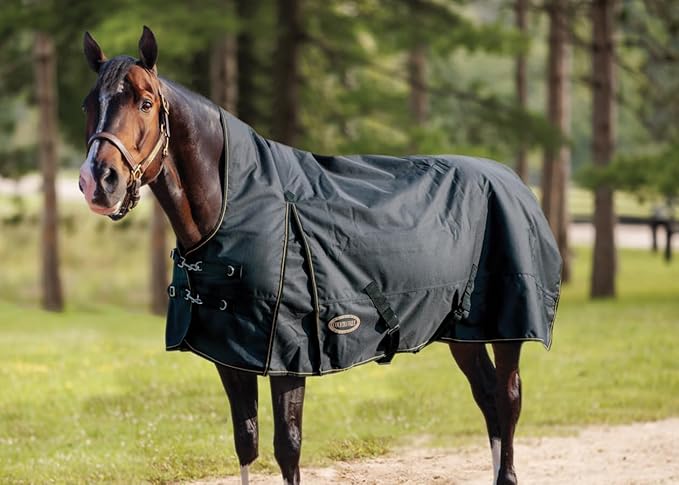Country Pride Paladin 1200D High Neck Heavyweight Turnout Blanket (64)