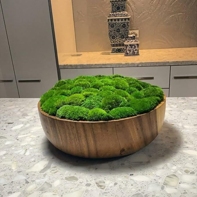 Preserved Pole Moss Pillow Bun Cushion Natural Green Decorative Real Natural Green DIY Kit Terrariums Gardenning Art Wall Decor Florist Decor Easter Table Decor Wedding(15.0 sq.ft., Green-B)