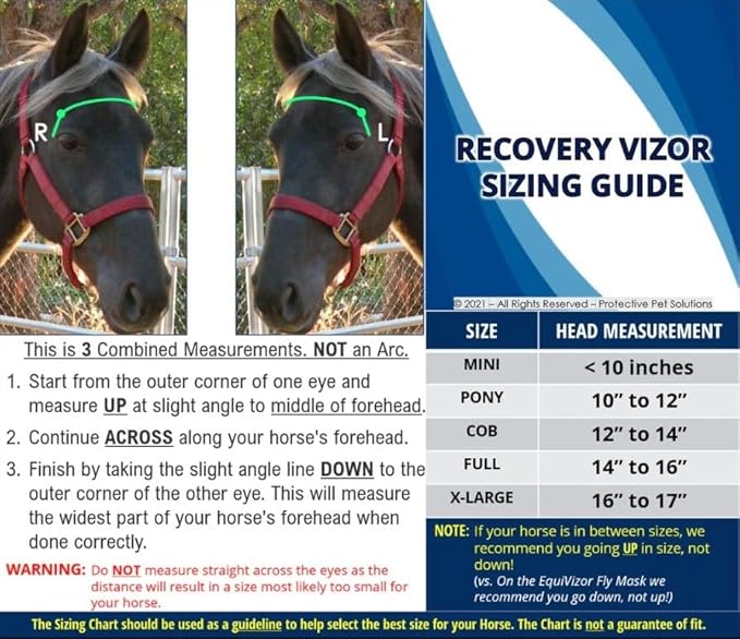 Recovery Vizor, (Size XL - Clear UV Tint) Medical and Preventative Horse Eye (Goggle) Protection Mask for Uveitis/Injury/Scratch or Corneal Ulcer, Infection, Blindness